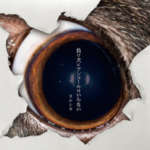 五月婷婷激情在线
