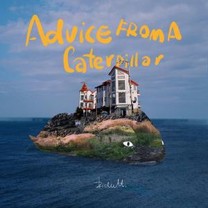 一级理伦片少妇按摩房
