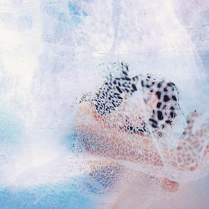 性插有声动态图
