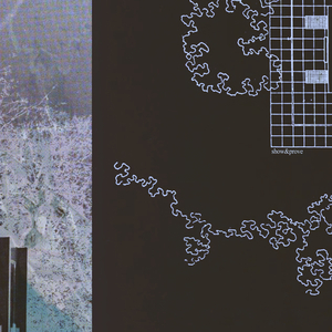 四川妇女bbbb的创业精神
