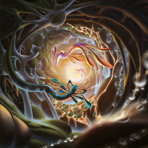 国产美女全身裸体无遮挡
