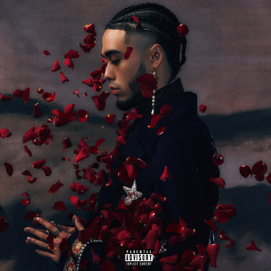 叶山小百合的《妈妈,别哭》
