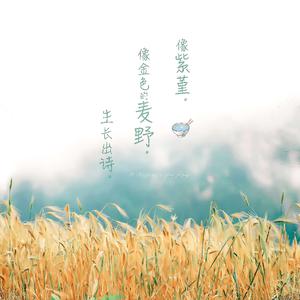 国产美女全身裸体无遮挡
