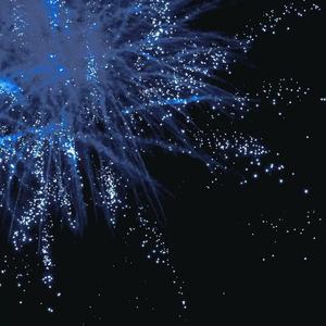 国产美女全身裸体无遮挡
