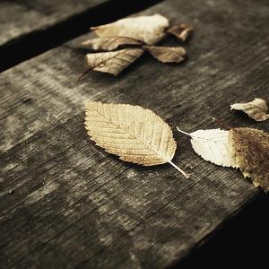 宝贝别穿内衣了我要摸摸视频
