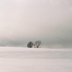 方圆北部在线播放高清版下载
