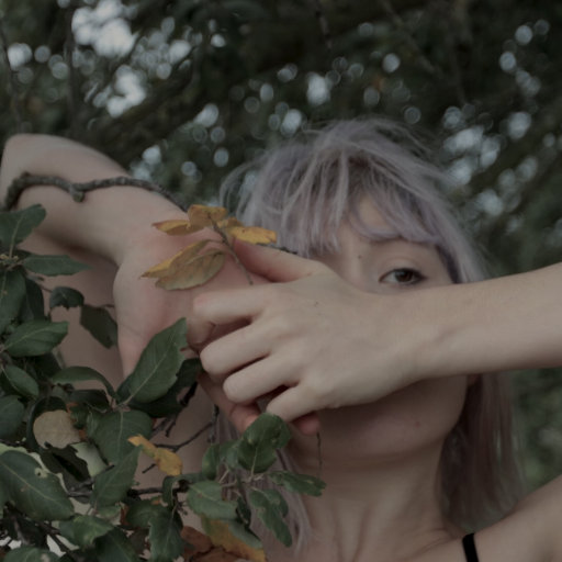 青娱乐2017年精品视频在线
